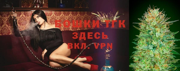 сатива Абаза