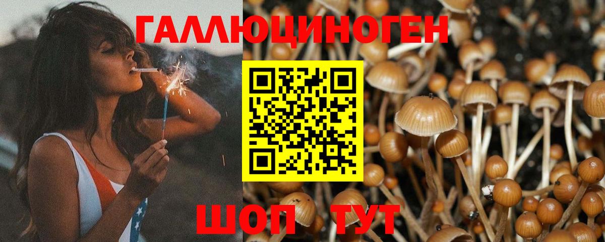 где найти   Галлюциногенные грибы Psilocybine cubensis  Вход с VPN  Галлюциногенные грибы GOLDEN TEACHER  Прокопьевск 